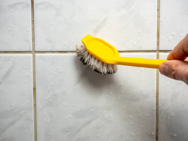 Best Affordable Mold Removal  in Kingsville, TX