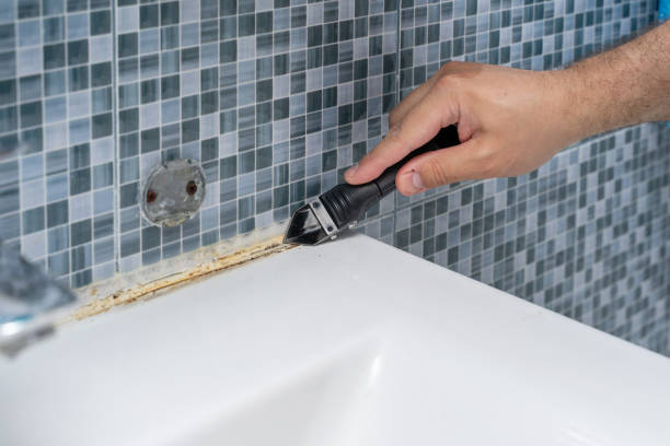 Mold Removal and Inspection in Kingsville, TX