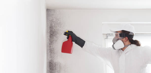 Best Mold Cleaning Services  in Kingsville, TX